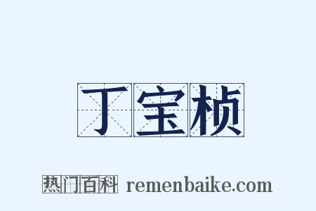 丁宝桢是什么意思的图片